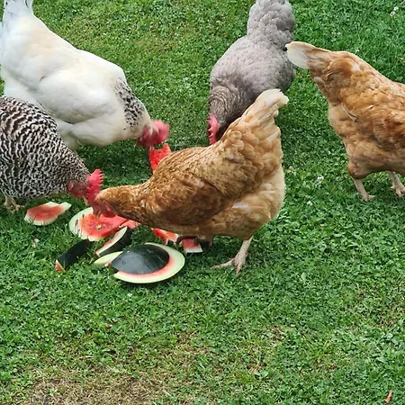 דירה Am Stoeckelchen Ww