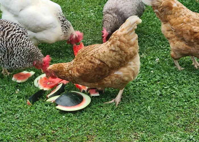 Апартаменты Am Stoeckelchen Ww